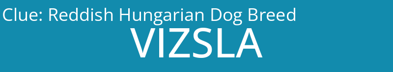 Reddish Hungarian Dog Breed