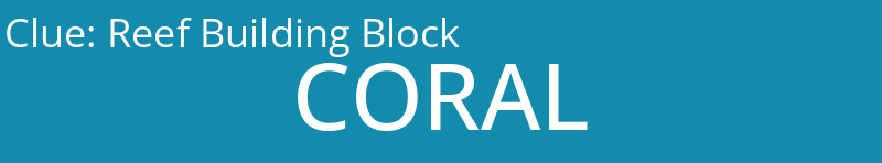 Reef Building Block