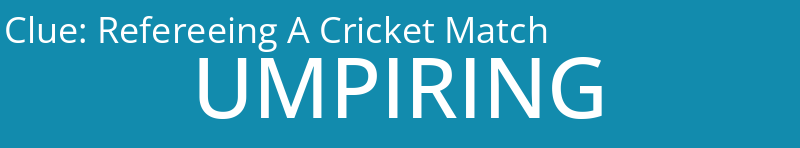 Refereeing A Cricket Match