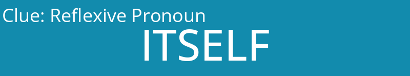 Reflexive Pronoun
