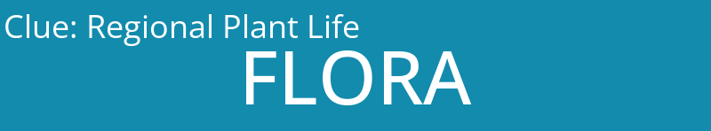 Regional Plant Life