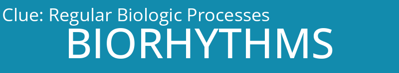 Regular Biologic Processes