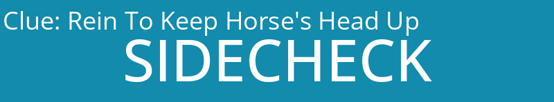 Rein To Keep Horse's Head Up