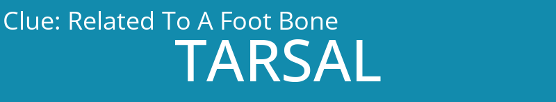 Related To A Foot Bone