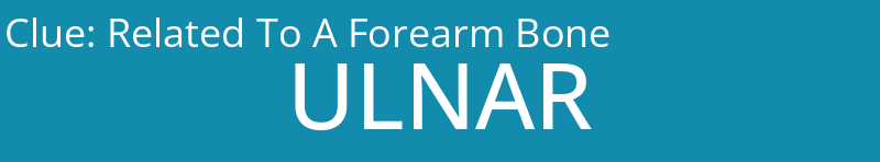 Related To A Forearm Bone