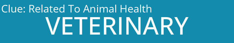 Related To Animal Health