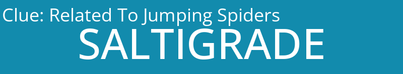 Related To Jumping Spiders