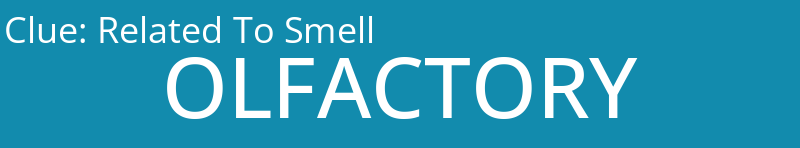Related To Smell