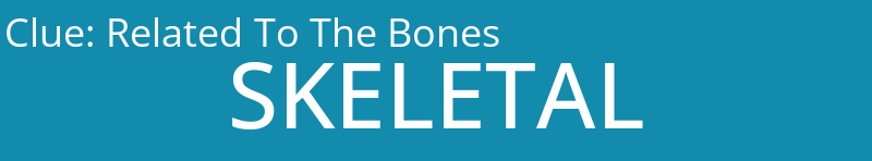 Related To The Bones