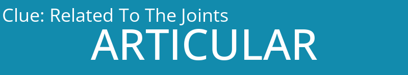 Related To The Joints