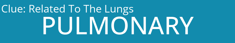 Related To The Lungs