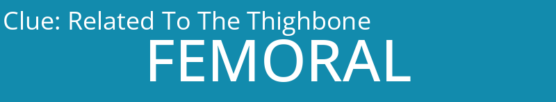 Related To The Thighbone