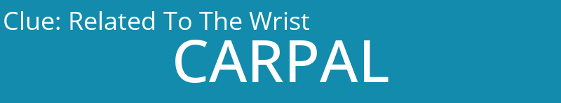 Related To The Wrist