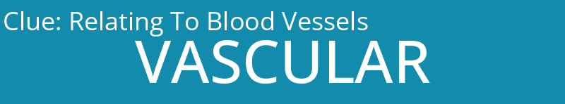 Relating To Blood Vessels