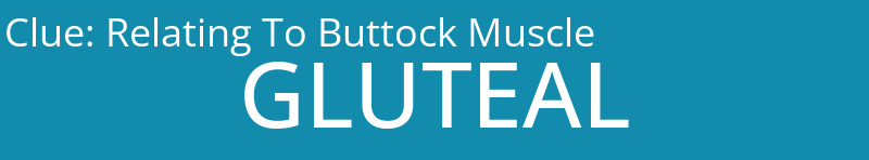 Relating To Buttock Muscle