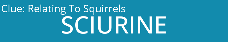 Relating To Squirrels