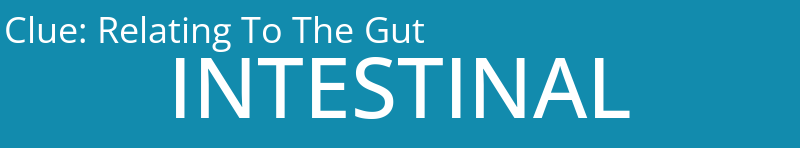 Relating To The Gut