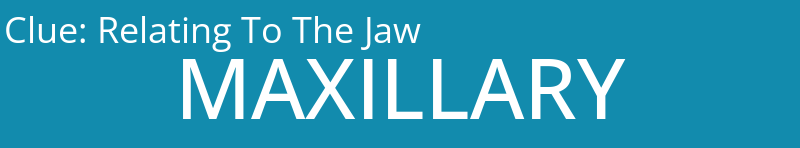 Relating To The Jaw