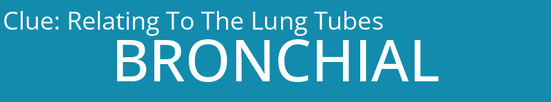 Relating To The Lung Tubes