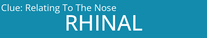 Relating To The Nose