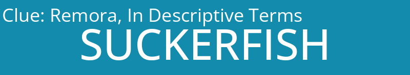 Remora, In Descriptive Terms