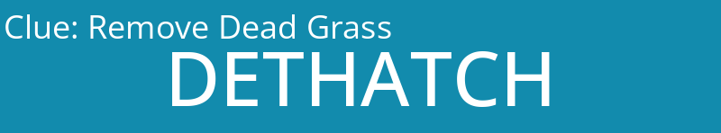 Remove Dead Grass