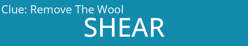 Remove The Wool