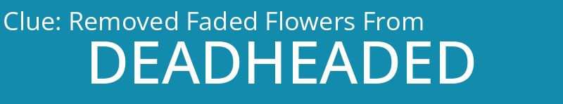 Removed Faded Flowers From
