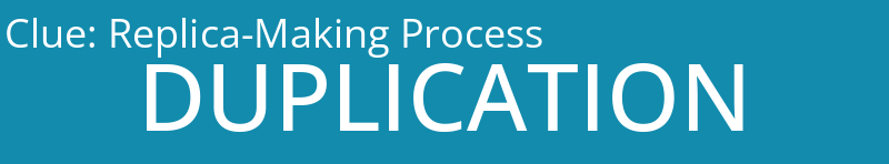 Replica-Making Process