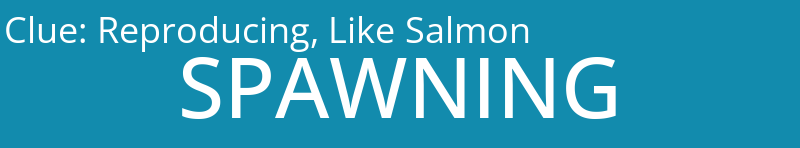 Reproducing, Like Salmon