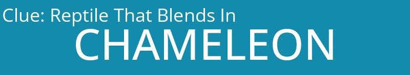 Reptile That Blends In