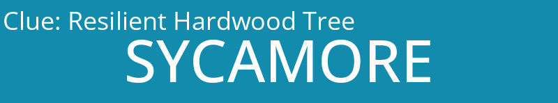 Resilient Hardwood Tree