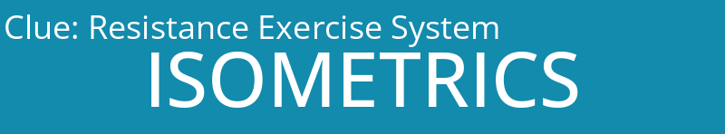 Resistance Exercise System
