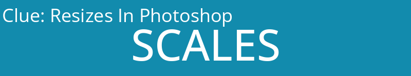 Resizes In Photoshop