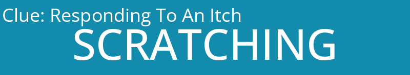 Responding To An Itch