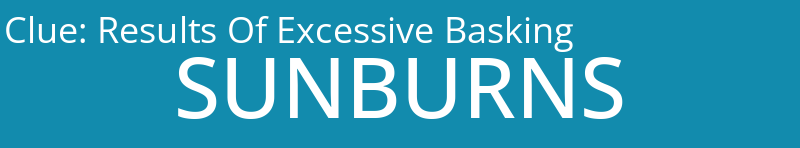 Results Of Excessive Basking