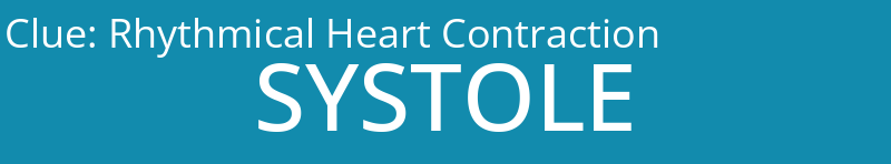 Rhythmical Heart Contraction