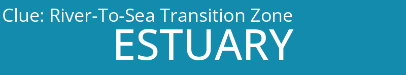River-To-Sea Transition Zone