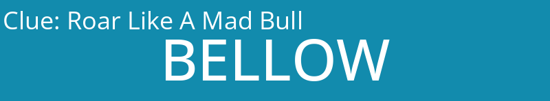 Roar Like A Mad Bull