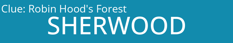 Robin Hood's Forest