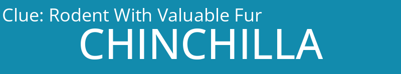 Rodent With Valuable Fur