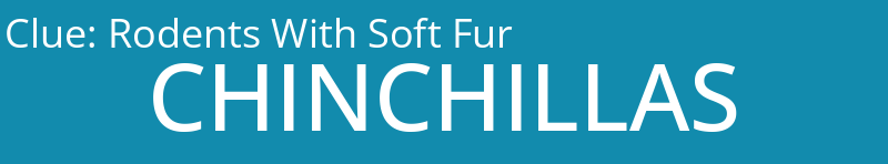 Rodents With Soft Fur