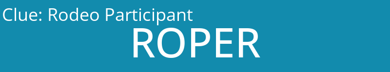 Rodeo Participant
