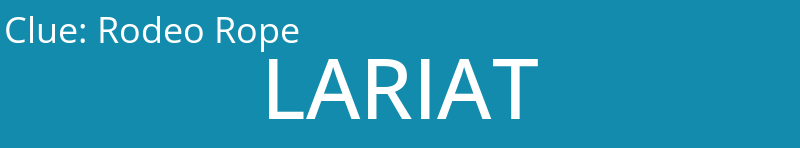 Rodeo Rope
