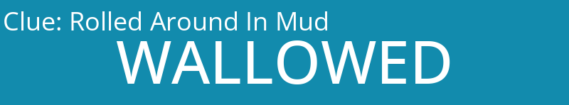 Rolled Around In Mud