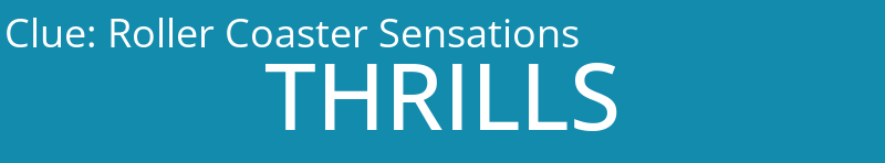 Roller Coaster Sensations