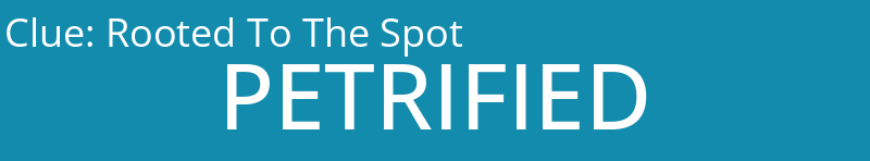 Rooted To The Spot