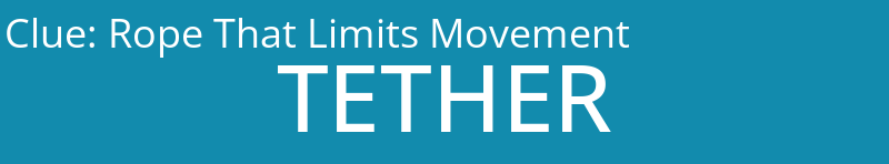 Rope That Limits Movement