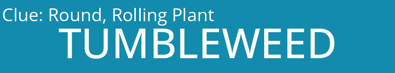 Round, Rolling Plant