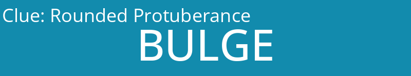 Rounded Protuberance